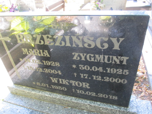 Zygmunt Brzeziński 1925 Prudnik - Grobonet - Wyszukiwarka osób pochowanych