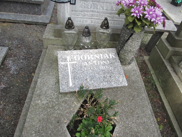 Władysław Górniak  1908 Prudnik - Grobonet - Wyszukiwarka osób pochowanych
