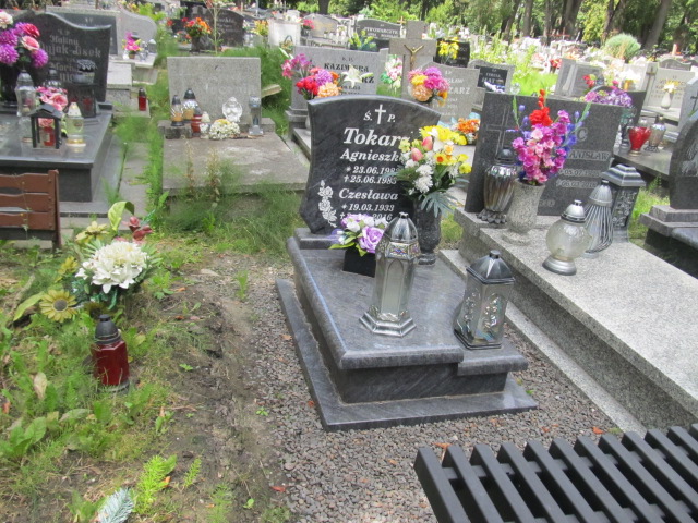 Grób Czesława Tokarz