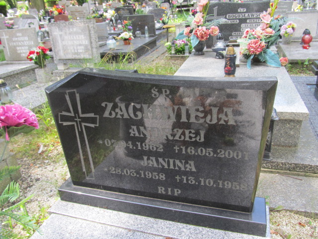 Andrzej Zachwieja  1962 Prudnik - Grobonet - Wyszukiwarka osób pochowanych