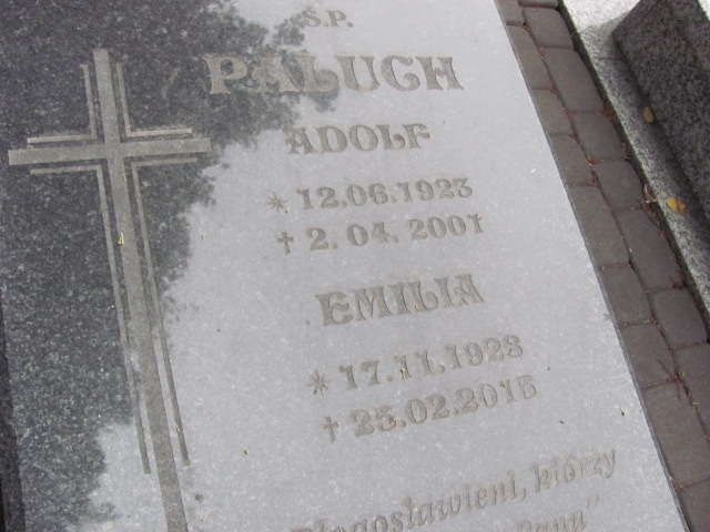 Adolf Paluch 1923 Prudnik - Grobonet - Wyszukiwarka osób pochowanych