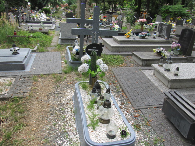 Grób Edward Gładysz