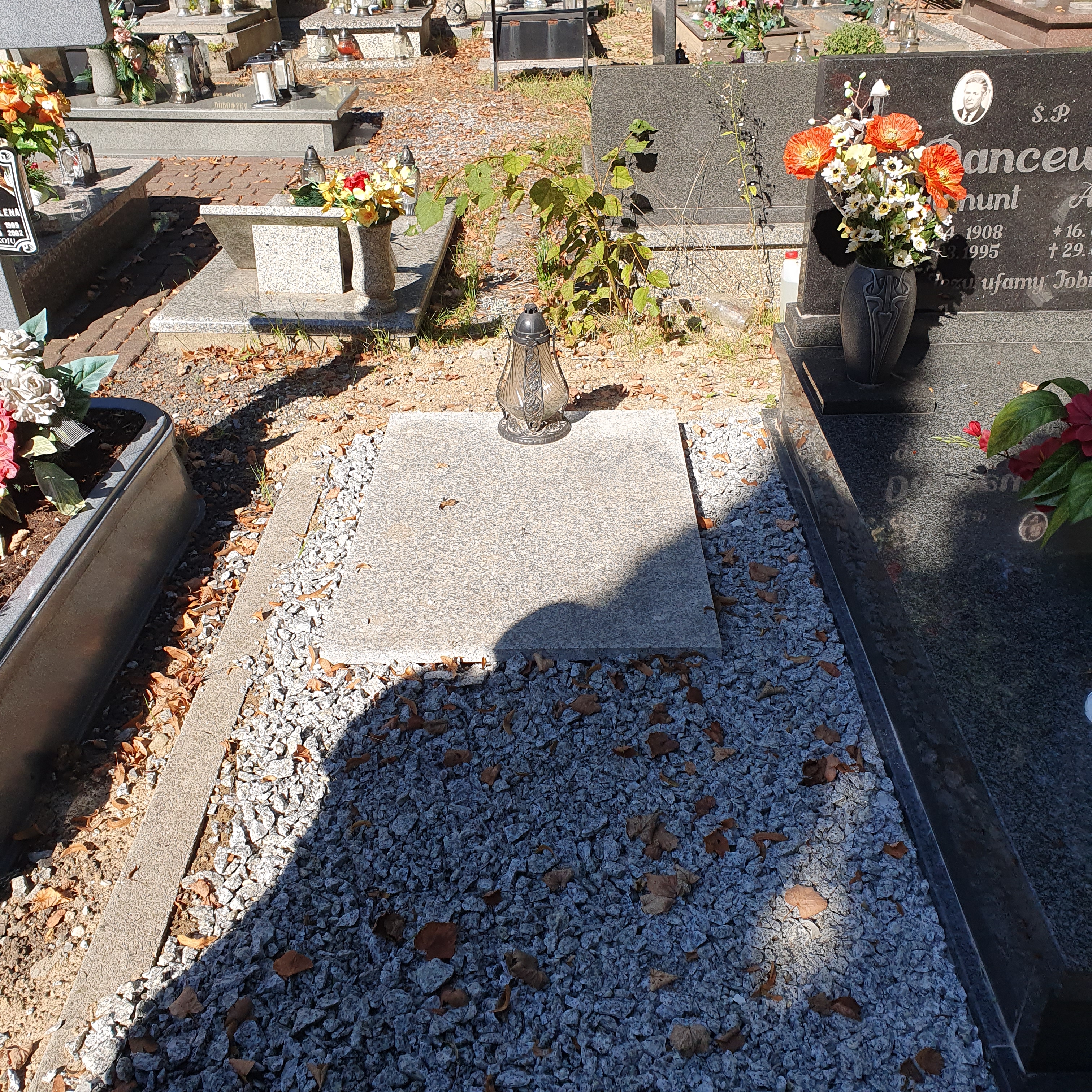 Zygmunt Dancewicz 1908 Prudnik - Grobonet - Wyszukiwarka osób pochowanych