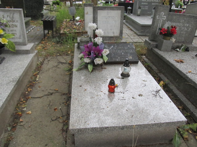 Grób Henryka Rebizant